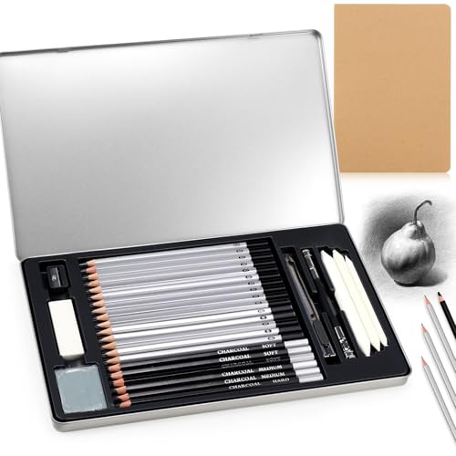 FSWWSF Bleistifte Set 30 Bleistifte Zeichnen Mit Kohlestifte Zeichenstifte Professionell Bleistifte Verschiedene HäRtegrade Set FüR AnfäNger,Skizzieren Liebhaberin,Professionelle Zeichnen von FSWWSF