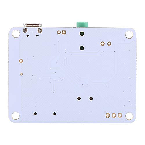 Audio Tragbarer Preamp USB TF FM MP3 Decoder WMA WAV FLAC Player für Outdoor -Aktivitäten Metallfarbe (#2) von FTVOGUE
