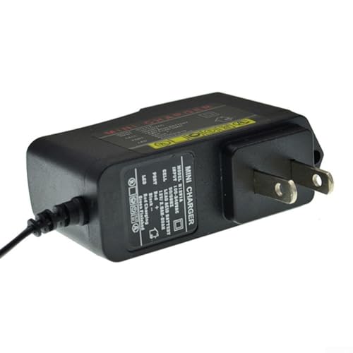 Benutzerfreundliches 12 V für intelligentes Batterieladegerät für verschiedene Fahrzeuge mit Kurzschlussschutz-Funktionen von FUBESK