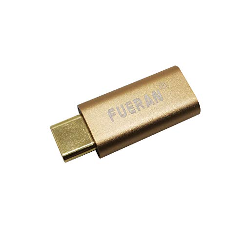 FUERAN Dummy Plug Headless Ghost Display Emulator Premium Aluminum PC Tpye c-Compatible（Fit Headless-1920x1080 New 4RD@60Hz） (Tpye c) von FUERAN