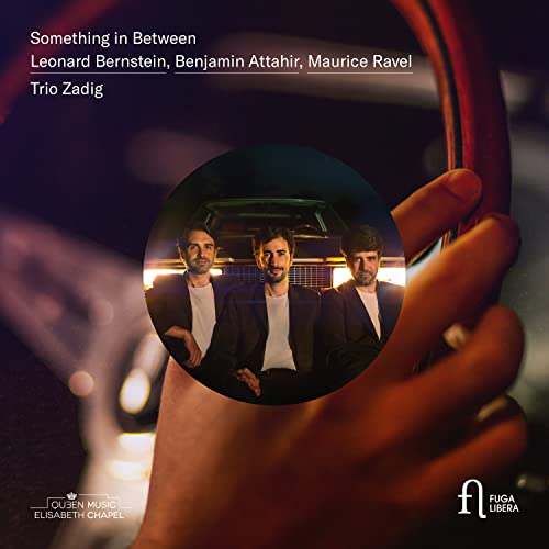 Something in Between von FUGA LIBERA-OUTHERE