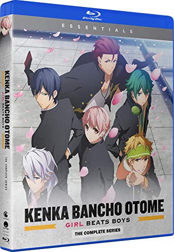 Kenka Bancho Otome - Girl Beats Boys: Comp Series [Edizione: Stati Uniti] (1 BLU-RAY) von Funimation