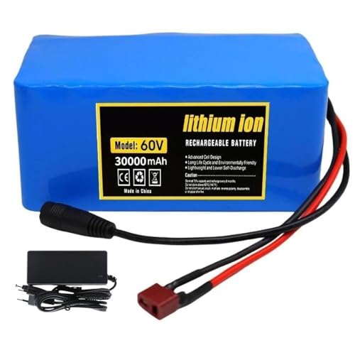 60 V 16S2P Lithium-Ionen-Akkus, 60 V 30 Ah E-Bike-Lithium-Ionen-Akku for 200 W-1000 W Motor E-Bike Elektrofahrrad-Scooter Mit BMS + 67,2 V 2 A Ladegerät(T) von FXLBYSMM