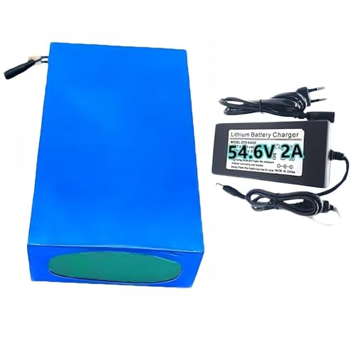 48 V 20 Ah Lithium-Ionen-Akku, ideal for Elektrofahrräder, integriertes BMS-System, Roller, Rollstühle(XT60+DC) von FXLUHAY