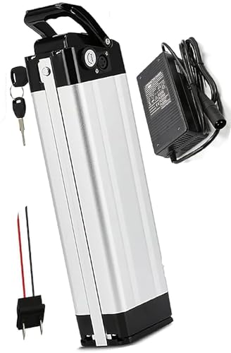 EBike-Akku 48 V 8 Ah 10 Ah 15 Ah 18 Ah 20 Ah Elektrofahrrad-Akku mit BMS-Schutzplatine und Ladegerät(48v 20ah,XT60) von FXLUHAY
