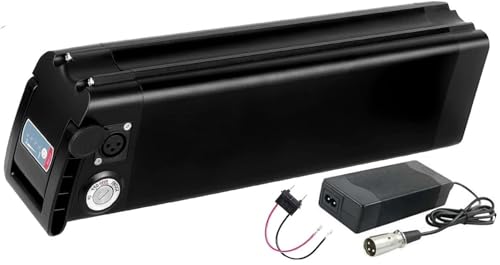 EBike Lithium-Lithium-Akku 36 V 8 Ah 10 Ah 12 Ah 15 Ah 18 Ah 20 Ah Elektro-Fahrrad-Akku 36 V mit BMS-Schutzplatine mit Ladegerät(36V 8Ah,1) von FXLUHAY