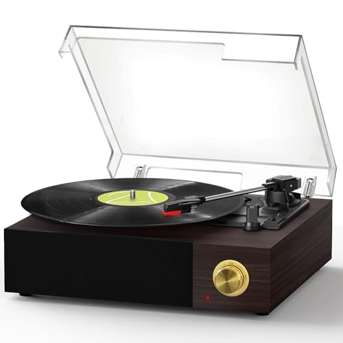 Plattenspieler, FYDEE Schallplattenspieler mit Doppellautsprechern, Unterstützt Bluetooth, RCA-Line-Anschluss und DREI Wiedergabegeschwindigkeiten (33/45/78), Schwarz von FYDEE