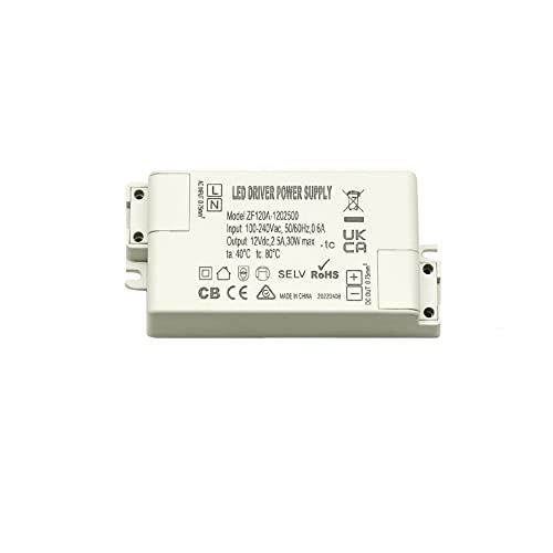 TONGLIDA ZF120A-1202500 ZF120A-1205000 12VDC 30W 60W AC/DC-Adapter LED-Treiber für LED-Deckenleuchten Strahler Buried Fluorescent Lamps (30) von FZLFTWSY