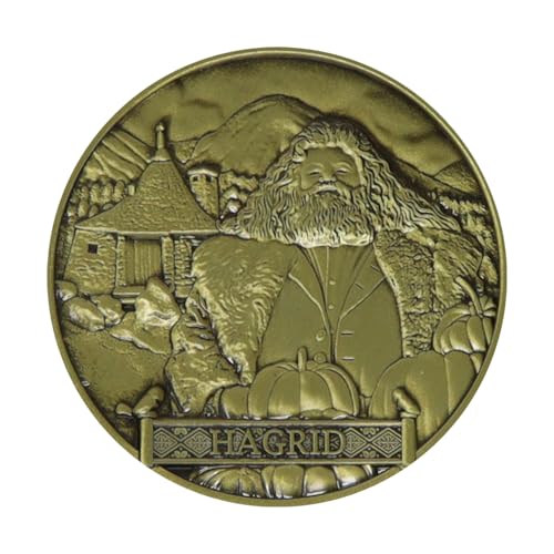 Fanattik Harry Potter – Hagrid & Harry – Pièce Collector Edition Limitée von FaNaTtik