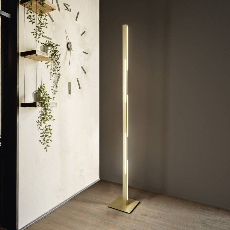 LED-Stehleuchte Ling, messing, Höhe 165 cm, dimmbar, Metall von Fabas Luce