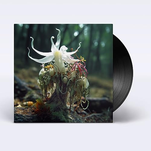 Dream EP [Vinyl LP] von fabric
