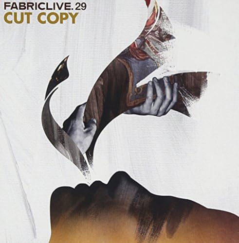Fabriclive 29 von fabric