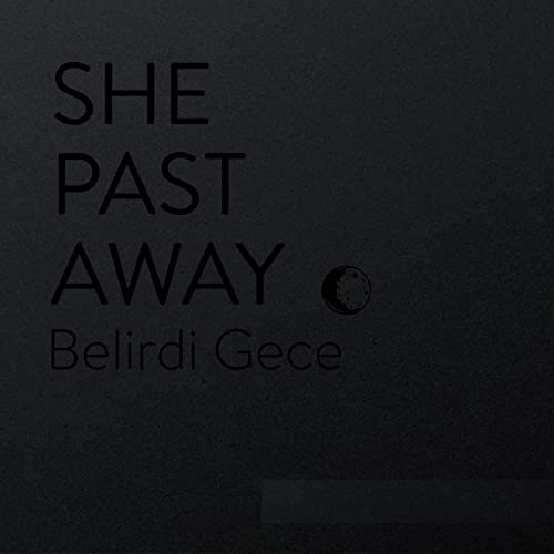 Belirdi Gece [Vinyl LP] von Fabrika Records