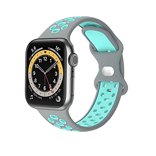 Fabstrap Kompatibel mit Apple Watch Armband 44 mm, 42 mm, 45 mm, Ersatzarmband kompatibel mit iWatch Serie 7 (45 mm) SE Serie 6/5/4 (44 mm) Serie 3/2/1 (42 mm) Grau, GB-S8-HSY-L von Fabstrap