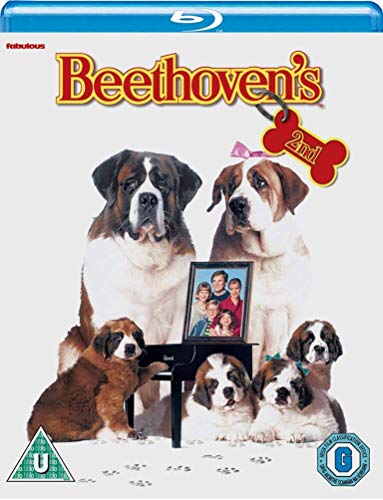 Beethoven's 2nd [Blu-ray] von Fabulous