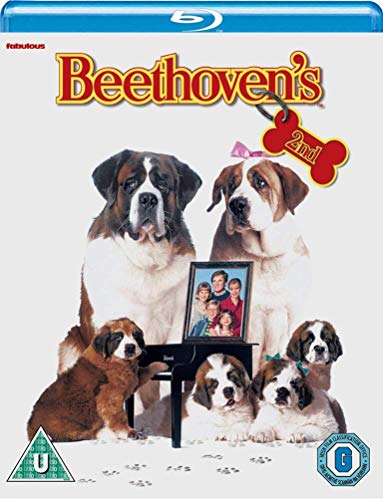 Beethoven's 2nd [Blu-ray] von Fabulous Films