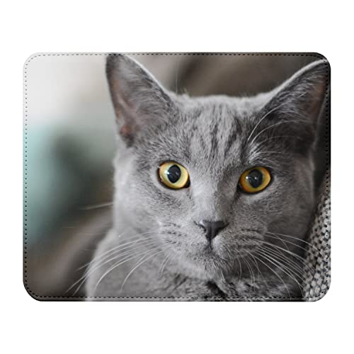 Fabulous Mauspad aus Kunstleder Graue Katze Russian Blue Haustier Süßes von Fabulous