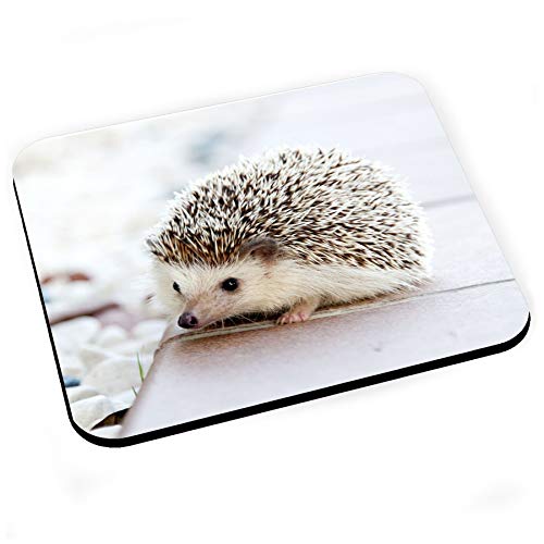 Fabulous Mausunterlage Süßer weißer Igel Gartentiere Wilde Natur Fabulous Mausunterlage Süßer weißer Igel Gartentiere Wilde Natur von Fabulous