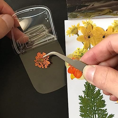 20pcs Lesezeichen von Transparenten Getrockneten Blumen Prächtige Handwerkskunst für Liebhaber der Natur (Typ-4) von Fafeicy
