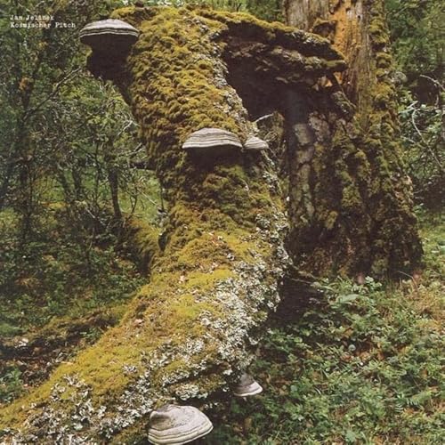 Kosmischer Pitch (Reissue) [Vinyl LP] von Faitiche / Indigo