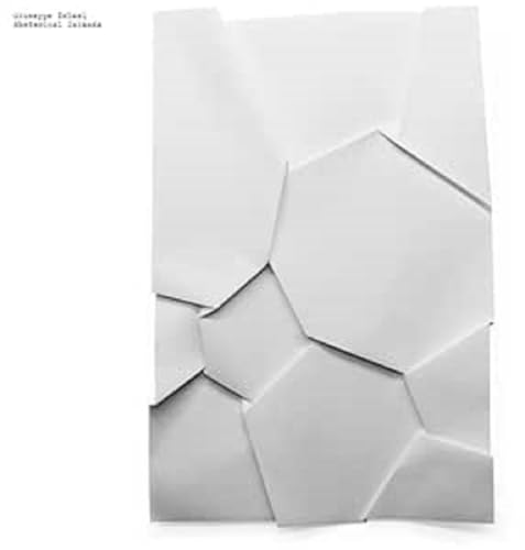 Rhetorical Islands [Vinyl LP] von Faitiche