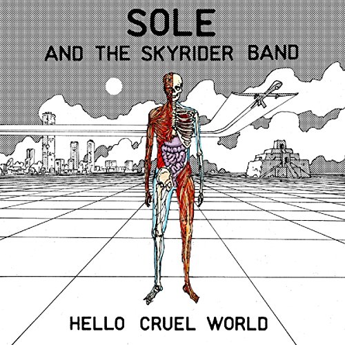 Hello Cruel World [Vinyl LP] von Fake Four Inc.