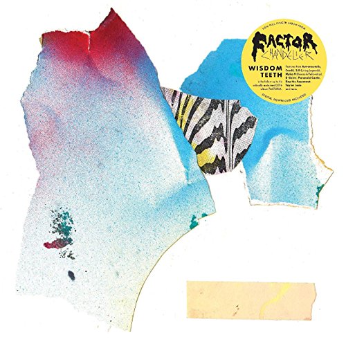 Wisdom Teeth [Vinyl LP] von Fake Four Inc.