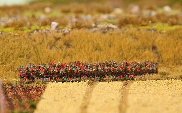 1 PREMIUM Hecke, Herbstlaub 1 PREMIUM Hecke, Herbstlaub von Faller