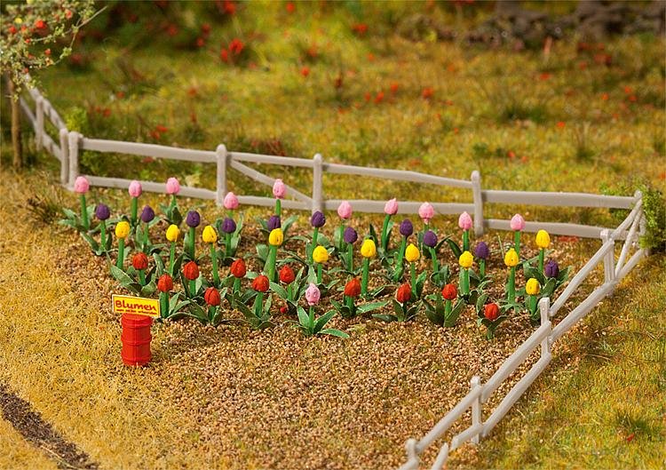 36 Tulpen von Faller
