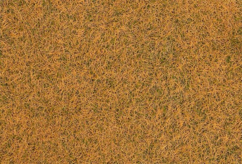 Streufasern Wildgras, verdorrt, 4 mm (1000 g) von Faller