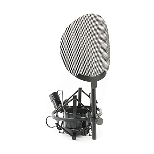 Fame Audio EA 26 Pop, Mikrofonspinne mit Metall-Pop-Schutz, Trittschall und Pulsivlauten Schutz, Einfache Montage, Geeignet für Mikrofone mit 4,5cm Durchmesser Fame Audio EA 26 Pop, Mikrofonspinne mit Metall-Pop-Schutz, Trittschall und Pulsivlauten Schutz, Einfache Montage, Geeignet für Mikrofone mit 4,5cm Durchmesser von Fame Audio