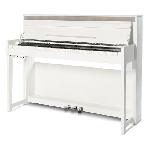 Fame DP-6500K E-Piano mit präziser Hammermechanik, anschlagdynamischen 88 Tasten, perfekter Klavierklang, 40 Orchesterklangfarben, 256-fache Polyphonie, wertiges Gehäuse mit Deckel, Digital Piano von Fame