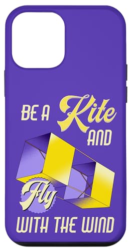 Motivierendes Zitat "Be a Kite and Fly with the Wind" Hülle für iPhone 12 mini Motivierendes Zitat "Be a Kite and Fly with the Wind" Hülle für iPhone 12 mini von Family Flight Kites Outdoor Fun by NLTS
