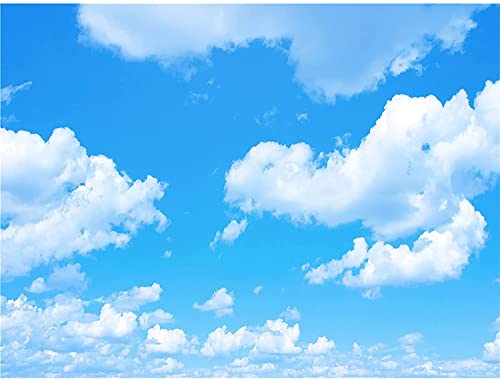 Vinyl-Hintergrund mit blauem Himmel, weiße Wolken, Sonnenhimmel, Hintergrund für Fotografie, Babyparty, Geburtstag, Party, Studio, Requisiten, Booth-Banner, 2,4 x 1,8 m Vinyl-Hintergrund mit blauem Himmel, weiße Wolken, Sonnenhimmel, Hintergrund für Fotografie, Babyparty, Geburtstag, Party, Studio, Requisiten, Booth-Banner, 2,4 x 1,8 m von Fanghui