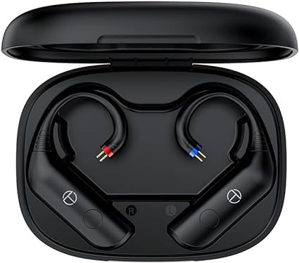 Fanmusic TRN BT20 Pro True Wireless Bluetooth 5.3 Kopfhörer-Modul, austauschbare Anschlüsse (Kopfhörer nicht im Lieferumfang enthalten) (2-polig, 0,75 mm) von Fanmusic