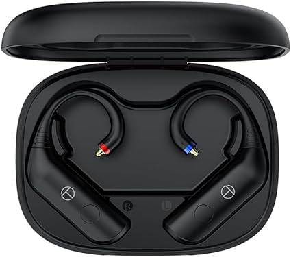 Fanmusic TRN BT20 Pro True Wireless Bluetooth 5.3 Kopfhörer-Modul, austauschbare Anschlüsse (Kopfhörer nicht im Lieferumfang enthalten) (MMCX) von Fanmusic