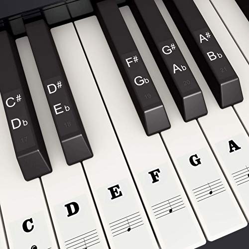 Fansjoy Klavier Keyboard Aufkleber für 37/49/54/61/88 Weiße und Schwarze Tasten, Noten-Aufkleber Klaviertasten Aufkleber für Kinder und Anfänger, Transparent Entfernbar von Fansjoy