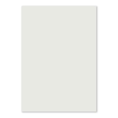 1000 DIN A4 Papierbogen Planobogen - Hellgrau (Grau) - 160 g/m² - 21 x 29,7 cm - Bastelbogen Ton-Papier Fotokarton Bastel-Papier Ton-Karton - FarbenFroh von FarbenFroh by GUSTAV NEUSER