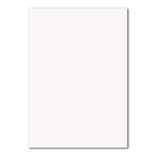 700 DIN A4 Papierbogen Planobogen - Hochweiß (Weiß) - 160 g/m² - 21 x 29,7 cm - Bastelbogen Ton-Papier Fotokarton Bastel-Papier Ton-Karton - FarbenFroh von FarbenFroh by GUSTAV NEUSER