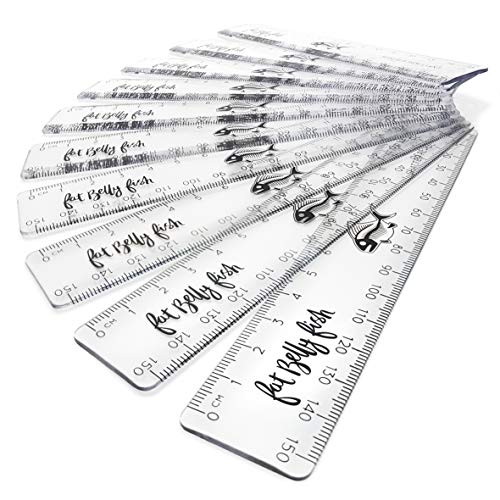 Fat Belly Fish Metrisches Lineal, 15 cm – 150 mm, bruchsicher, Kunststoff, transparent, 12 Stück von Fat Belly Fish