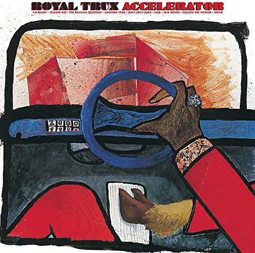 Accelerator [Vinyl LP] von Fat Possum Records