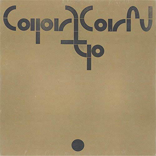 Capricorn [Vinyl LP] von Fat Possum Records