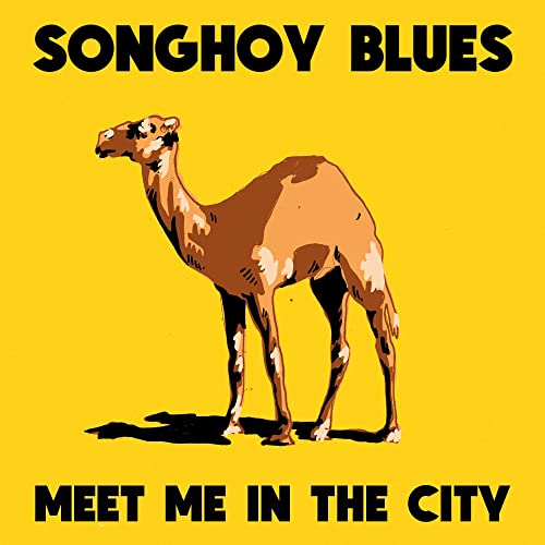 Meet Me In The City [Vinyl LP] von Fat Possum Records