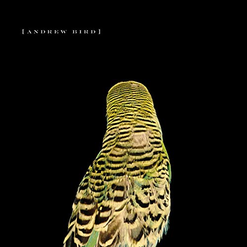 Armchair Apocrypha [Vinyl LP] von Fat Possum