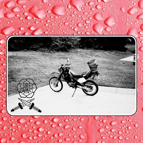 Say I Won't von Fat Possum