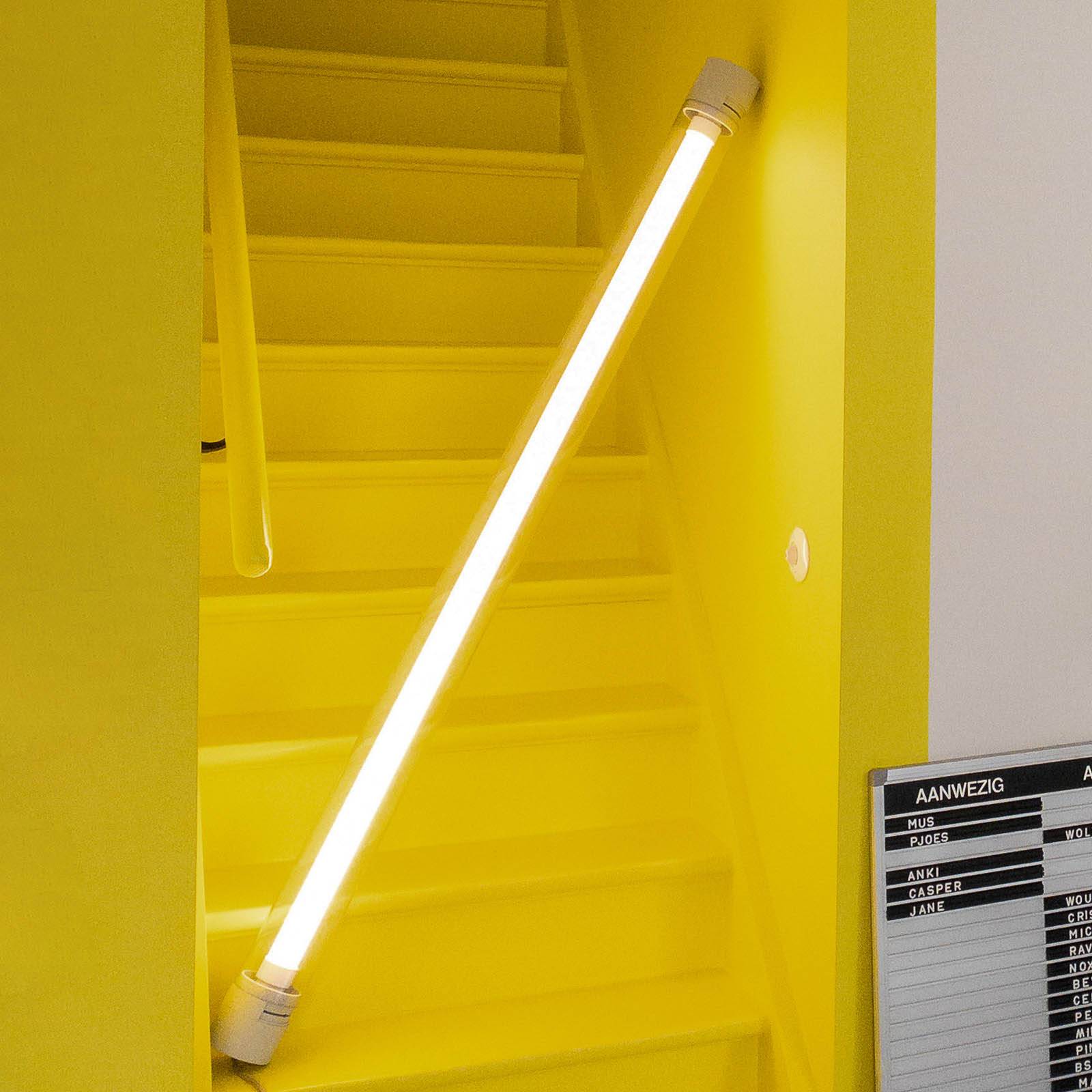 Fatboy LED-Wandleuchte Tjoep large hellgrau Fatboy LED-Wandleuchte Tjoep large hellgrau von Fatboy