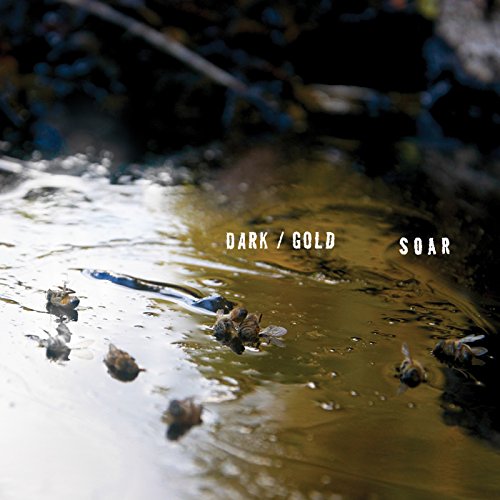 Dark/Gold [Musikkassette] von FATHER/DAUGHTER RECORDS