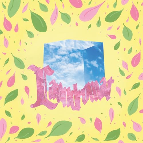 Laundromat (Mc) [Musikkassette] von Father/Daughter Rec