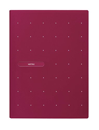Favorit 400083548 Sichtbuch Matrix mit 20 glatten Umschlägen, Innenformat 22 x 30 cm, purpur von Favorit