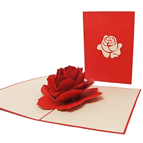 Favour Pop Up® - 3D Glückwunschkarte. Ein filigranes Kunstwerk, das sich beim Öffnen als Rosenblüte entfaltet. TF010 von Favour Pop Up